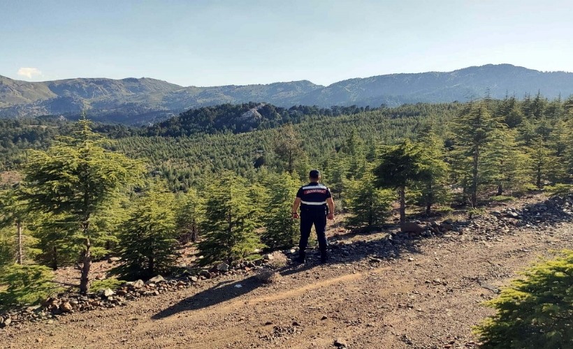 Muğla'da ormanlara girişler yasaklandı