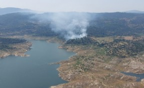 Muğla'da yangın alarmı! 2 hektarlık alan zarar gördü
