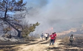 Semaver yakarken ormanı da yakan kadına ev hapsi cezası verildi