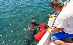 Turgutreis'te deniz dibi temizliği yapıldı