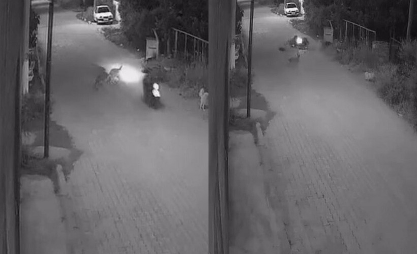 Yola fırlayan köpeğe çarpıp savruldu: 10 gün sonra öldü