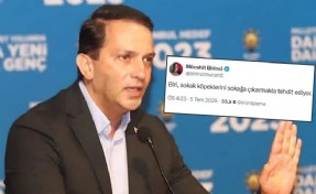AK Partili isimden skandal ifadeler: 'Sokak köpekleri'