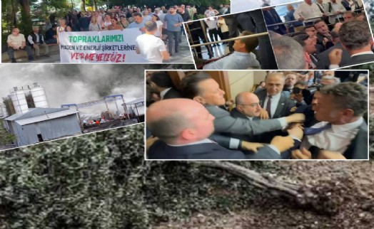 AK Partili vekiller zeytinlikler için harekete geçti: Eksiksiz savunacaklar