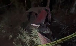 Aydın'da feci kaza: 2 kişi hayatını kaybetti