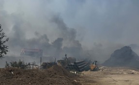 Aydın'daki ot yangını hayvan çiftliğine sıçradı; kontrol altında