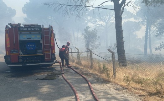 Bergama'da orman yangını!