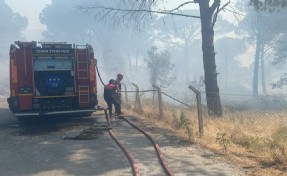 Bergama'da orman yangını!
