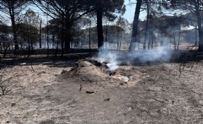 Bergama'daki orman yangını kontrol altına alındı