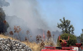 Bodrum'daki yangında 2 hektar alan zarar gördü