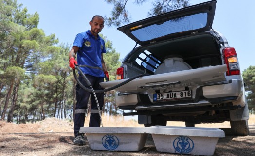 Buca Belediyesi’nden can dostları için hayati hamle