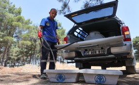 Buca Belediyesi’nden can dostları için hayati hamle