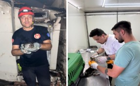 Büyükşehir yangın bölgelerindeki canlıların yardımına koştu
