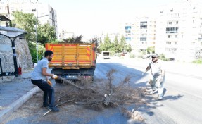Çiğli’de temizlik ve bakım seferberliği