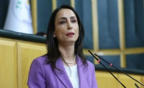 DEM Parti'den yandaş yazar Selvi'ye sert yanıt