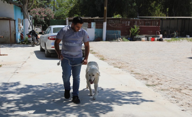 Efes Selçuk’ta 'Satın Alma Sahiplen' çağrısı