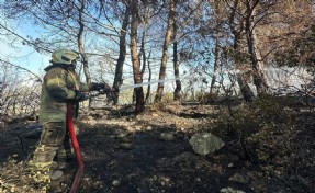 Ekipler Urla'da canla başla yangına müdahale ediyor