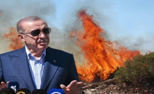 Erdoğan'dan 'orman yangınları' açıklaması