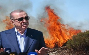 Erdoğan'dan 'orman yangınları' açıklaması