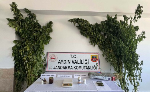Evinde Hint keneviri ve esrarla yakalanıp gözaltına alındı