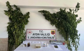 Evinde Hint keneviri ve esrarla yakalanıp gözaltına alındı