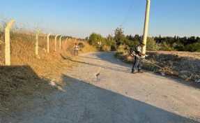 Güzelbahçe'de mesaiye 'sıcak hava' düzenlemesi