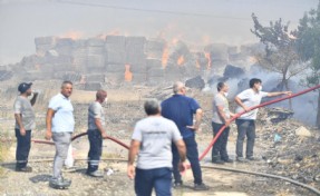İzmir İtfaiyesi yangınlarla mücadelesini sürdürüyor