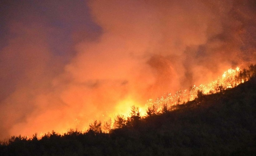 İzmir'de ormanla birlikte yanan evler sonrası sigortaya talep arttı!