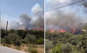 İzmir'de 3 ilçedeki yangın da kontrol altına alındı: Soğutma çalışmaları sürüyor.
