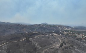 İzmir'de son üç günde çıkan yangınlar yaklaşık 10 bin hektarlık alanı küle çevirdi