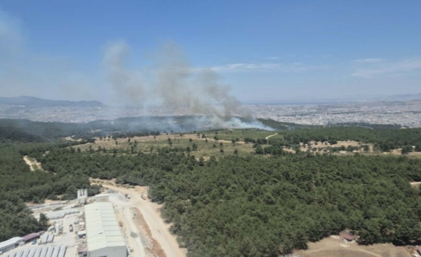Buca'daki orman yangını kontrol altına alındı