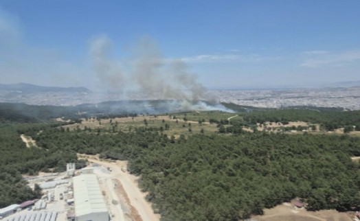 Buca'daki orman yangını kontrol altına alındı