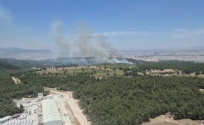 Buca'daki orman yangını kontrol altına alındı