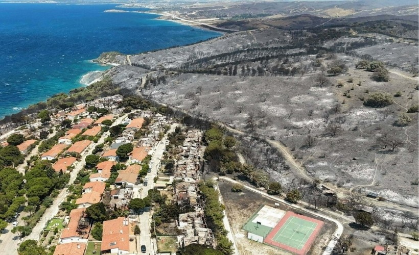 İzmir'de yangının ardından acı görüntü ortaya çıktı: Yeşil alanlar griye büründü