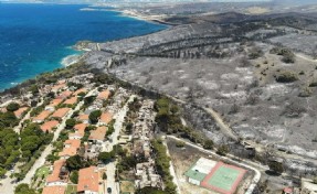 İzmir'de yangının ardından acı görüntü ortaya çıktı: Yeşil alanlar griye büründü