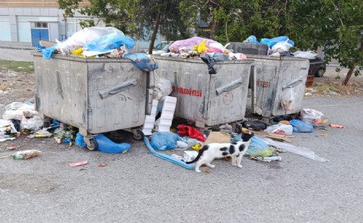 İzmir’de yaz ortası bir de çöp krizi Harmandalı kapandı, Halkapınar yetersiz kaldı