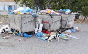 İzmir’de yaz ortası bir de çöp krizi Harmandalı kapandı, Halkapınar yetersiz kaldı