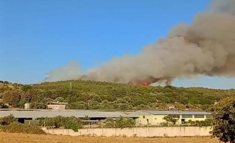 İzmir’de orman yangını