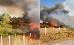 İzmir’de tarım arazisinde yangın