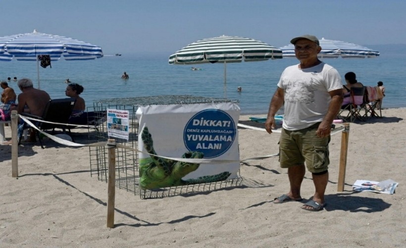 Kuşadası'nda caretta caretta yuvası tespit edildi