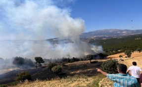 Kütahya'da orman yangını