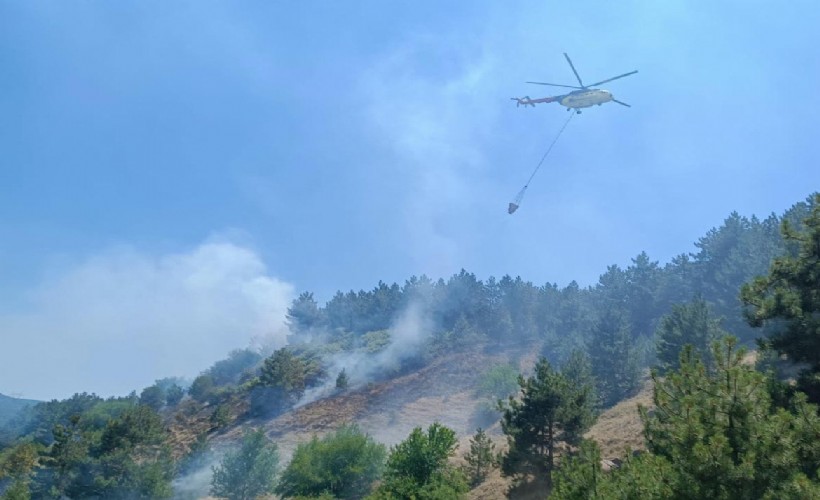 Kütahya’daki orman yangını, erken müdahaleyle söndürüldü