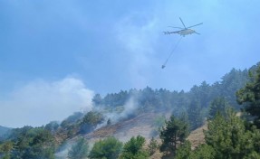 Kütahya’daki orman yangını, erken müdahaleyle söndürüldü