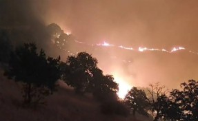 Manisa'daki orman yangını 5 saatte kontrol altına alındı