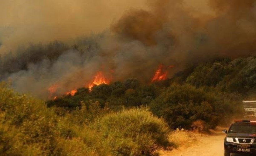 Manisa’da 2 noktada orman yangını; 2 gözaltı