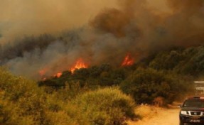 Manisa’da 2 noktada orman yangını; 2 gözaltı