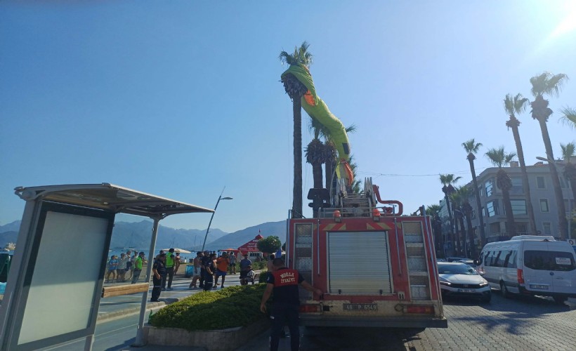 Marmaris'te deniz paraşütü ağaca takıldı; 2 kişi kurtarıldı