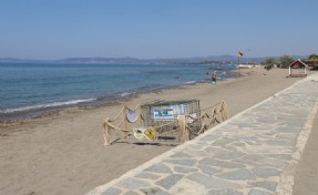 Menderes’te Caretta caretta heyecanı