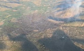 Milas'taki yangın 12 saat sonra kontrol altında