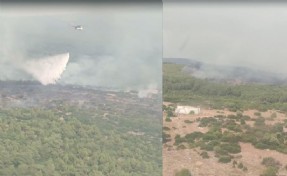 Muğla’daki orman yangını 2 saatte kontrol altına alındı