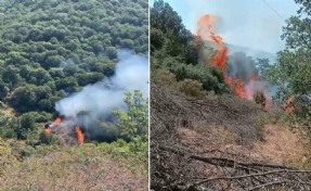 Nazilli'de orman yangını 2 saatte kontrol altına alındı